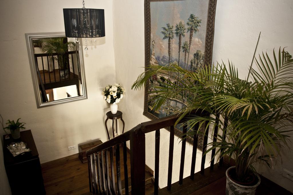 Saint-Ost Domaine Le Chec B&B 외부 사진
