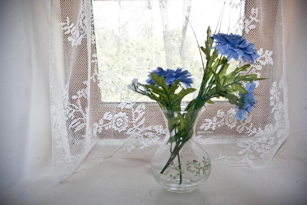 Saint-Ost Domaine Le Chec B&B 외부 사진